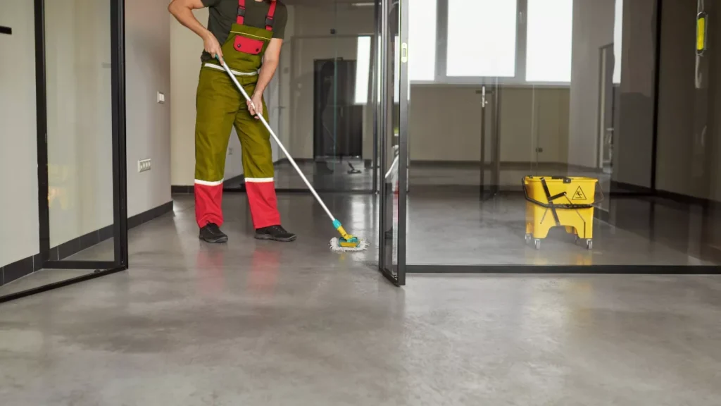 Home deep cleaning services removing dust from sofas and carpets