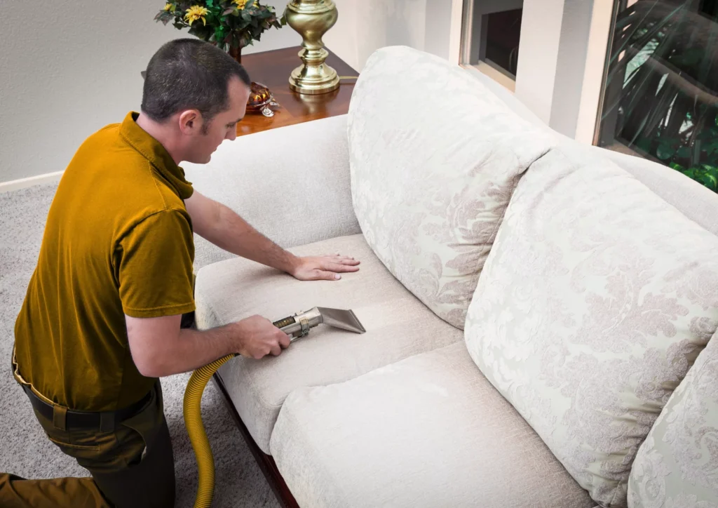 Expert sofa cleaning service for stain removal