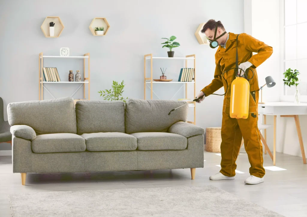 Deep sofa cleaning service using safe tools