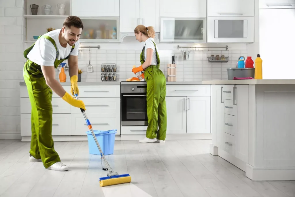 Professional home cleaning services by expert cleaners