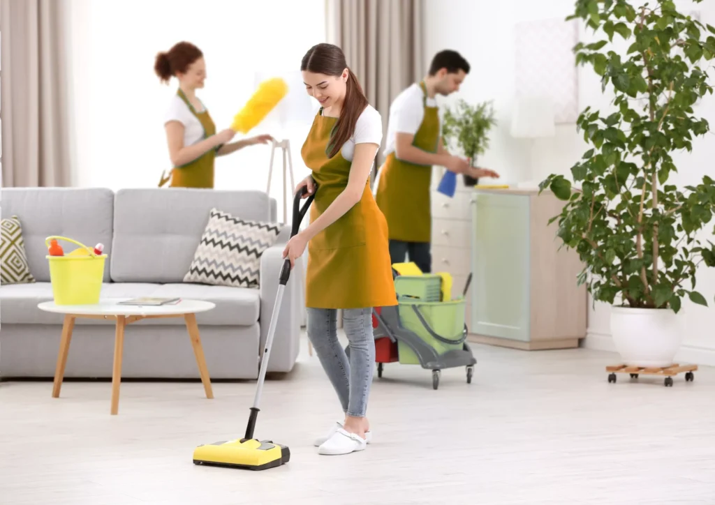 Professional home cleaning services for homes and villas